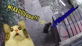 Thumbnail: Cat Air Spray Motion Activated Pet Deterrent Garden Shed