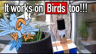 Thumbnail: Cat Spray Deterrent with Motion Sensor Keeps Both Cats and Birds Away