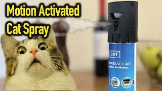 Thumbnail: Smart Cat Spray Compressed Air With Motion Detection