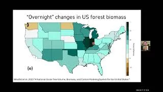 Thumbnail: How to weigh a forest: precision forestry with LiDAR technology