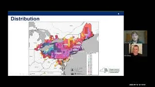 Thumbnail: Adapting to Beech Leaf Disease: Understanding the Biology, Impacts, and the Future of NY's Forests