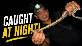Thumbnail: We Went Night Fishing... Then We Found This😱