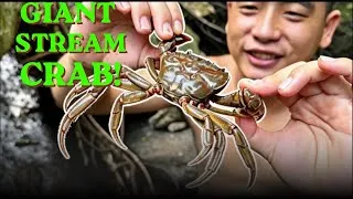Thumbnail: We Found Giant River Crabs in a Hidden Forest Stream! | Catch & Cook