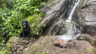 Thumbnail: Fried Chicken in the Wilderness | Forest Cooking | Forest Grill Kitchen