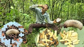 Thumbnail: Bare-Handed Against a Hornet Nest to Get the Rich Creamy Larvae