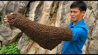 Thumbnail: Only 1 in a million people would dare catch bees like this