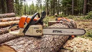 Thumbnail: 10 Most Beloved Chainsaws of All Time