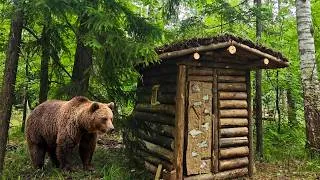 Thumbnail: The Bear attacked me. Building a Forest Hut and surviving in the forest for 9 DAYS