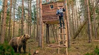 Thumbnail: The Treehouse saved my life from a Bear