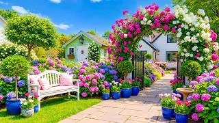 Thumbnail: (NO AI) Let Your Worries Melt Away 🌸 A Soothing Rose Garden for Deep Relaxation 🍃💕 #1