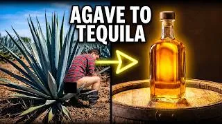 Thumbnail: How Blue Agave Piñas Become Aged Tequila | World Wide Spirits