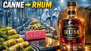 Thumbnail: Inside a Luxury Rum Distillery – From Harvested Sugarcane to Bottled Aged Molasses-Based Rum
