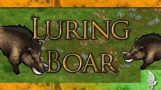 Thumbnail: Luring Boar - Two Minutes Or Less