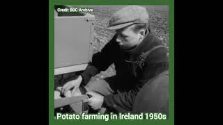 Thumbnail: Potato farming in Ireland 1950s