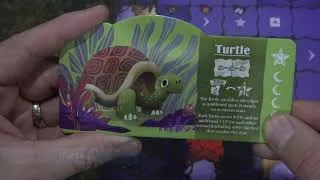 Thumbnail: Night and the Zoo: Latecomers Expansion