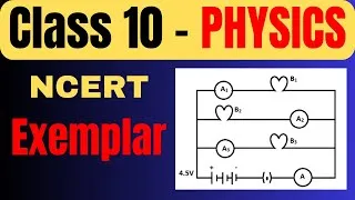 Thumbnail: NCERT Exemplar Bulb Questions | Electricity Class 10 Physics | Board Exam 2026 🔥