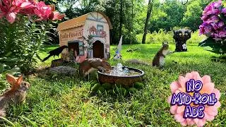 Thumbnail: TV for Dogs & Cats: FLOWER SHOP EDITION 🌺🌼 | 10 Hours of Squirrels & Birds | Background Ambience