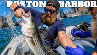 Thumbnail: Tattoos and Striper in Boston Harbor - Chasing the Striper Episode 6