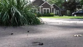 Thumbnail: Grand Haven Schools Preparing Support Following Tragic Grand Haven Township Death Investigation