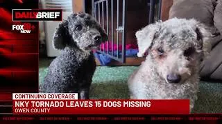Thumbnail: Daily Brief: NKY  tornado leaves 15 dogs missing