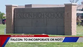 Thumbnail: Falcon: To incorporate or not?
