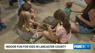 Thumbnail: Keeping cool in Lancaster: That Fish Place/That Pet Place