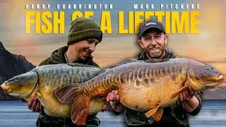 Thumbnail: Mark & Harry’s Next Challenge: A UK 60lb CARP | Fish of a Lifetime EP. 1
