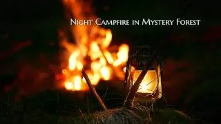 Thumbnail: 4K Night Campfire in Mysterious Forest 🦉Deep Sleep ASMR Ambience
