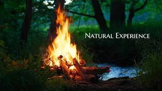 Thumbnail: 4K 📺 Soothing Campfire by the River 🌿 Real Sounds in Real Nature🌲(NO AI)