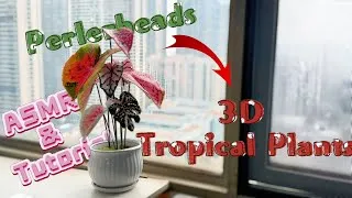 Thumbnail: ASMR Perler Beads: Turn Flat Beads Into 3D Tropical Plants (Super Satisfying)