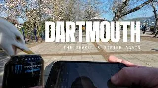 Thumbnail: Dartmouth POV street photography 'seagull stole my sausage roll'