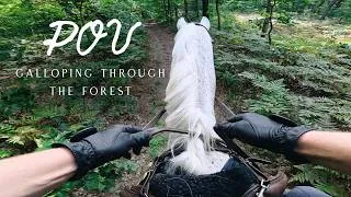 Thumbnail: Galloping Though the Forest POV ~ tacking up and riding my horse ASMR 𖡼˚｡𖥧