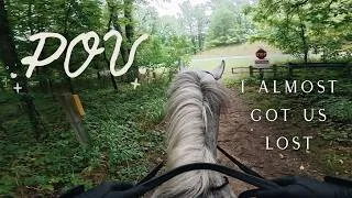Thumbnail: Early Morning Forest Ride POV | riding my horse ASMR  ݁ ⟡ ݁ .