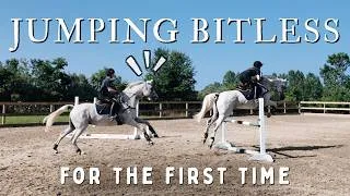 Thumbnail: Jumping my Horse Bitless for the First Time ⊹ why I haven't been competing⊹ ࣪ ˖