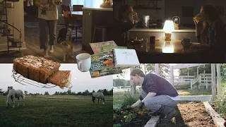 Thumbnail: a Slow Morning in the Countryside with 5 Horses | baking, chores, gardening ASMR ⁺₊☾⋆