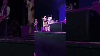 Thumbnail: Ann Wilson "You Don't Own Me"