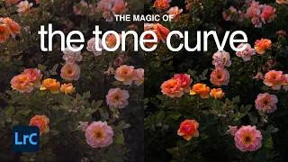 Thumbnail: Finally understand the tone curve in Lightroom | tutorial