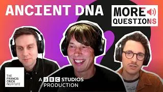 Thumbnail: Ancient Egyptian DNA, Cheddar Man and Wolves as Pets – More Questions of Science