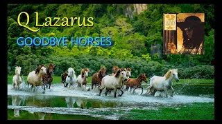 Thumbnail: Q Lazarus - Goodbye Horses