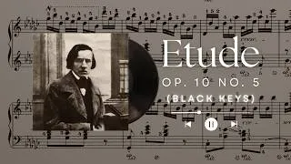 Thumbnail: Chopin - Etude Op. 10 No. 5