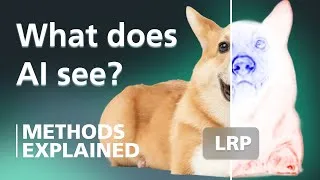 Thumbnail: Layer-Wise Relevance Propagation: A Visual Introduction | XAI Methods Explained