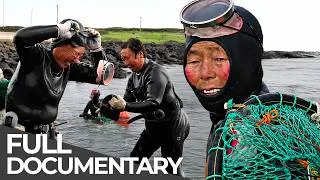 Thumbnail: World's Oldest Divers | Haenyeo: South Korea's Most Dangerous Tradition | Free Documentary