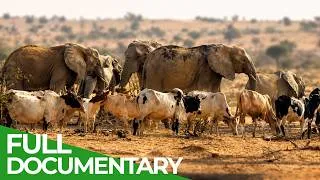 Thumbnail: Nature’s Most Incredible Journeys | Wildest Survival | Free Documentary Nature