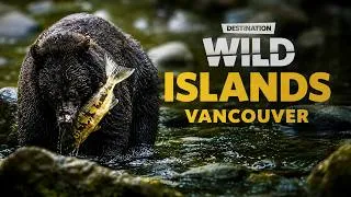 Thumbnail: Destination Wild: Wild Islands - Vancouver Island | Free Documentary Nature