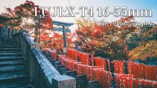 Thumbnail: POV Street Photography in Nara | A historic temple with beautiful autumn leaves