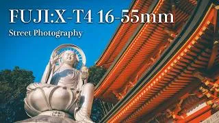 Thumbnail: POV Street Photography in Nara | A beautiful landscape of autumn leaves dyed red all around