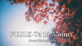 Thumbnail: POV Street Photography in kyoto | Beautiful autumn foliage scenery in Japan