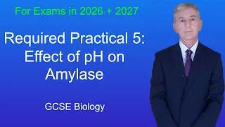 Thumbnail: GCSE Biology Revision "Required Practical 5: Effect of pH on Amylase"