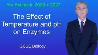 Thumbnail: GCSE Biology Revision "Effect of Temperature and pH on Enzymes"