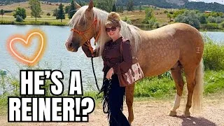 Thumbnail: My Most UNEXPECTED Horse Purchase EVER! Meet My New Palomino!